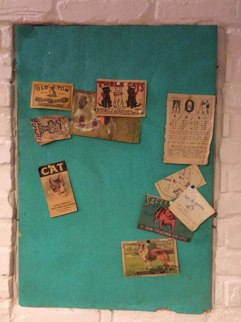 2014-11-25 18.09.40.jpg