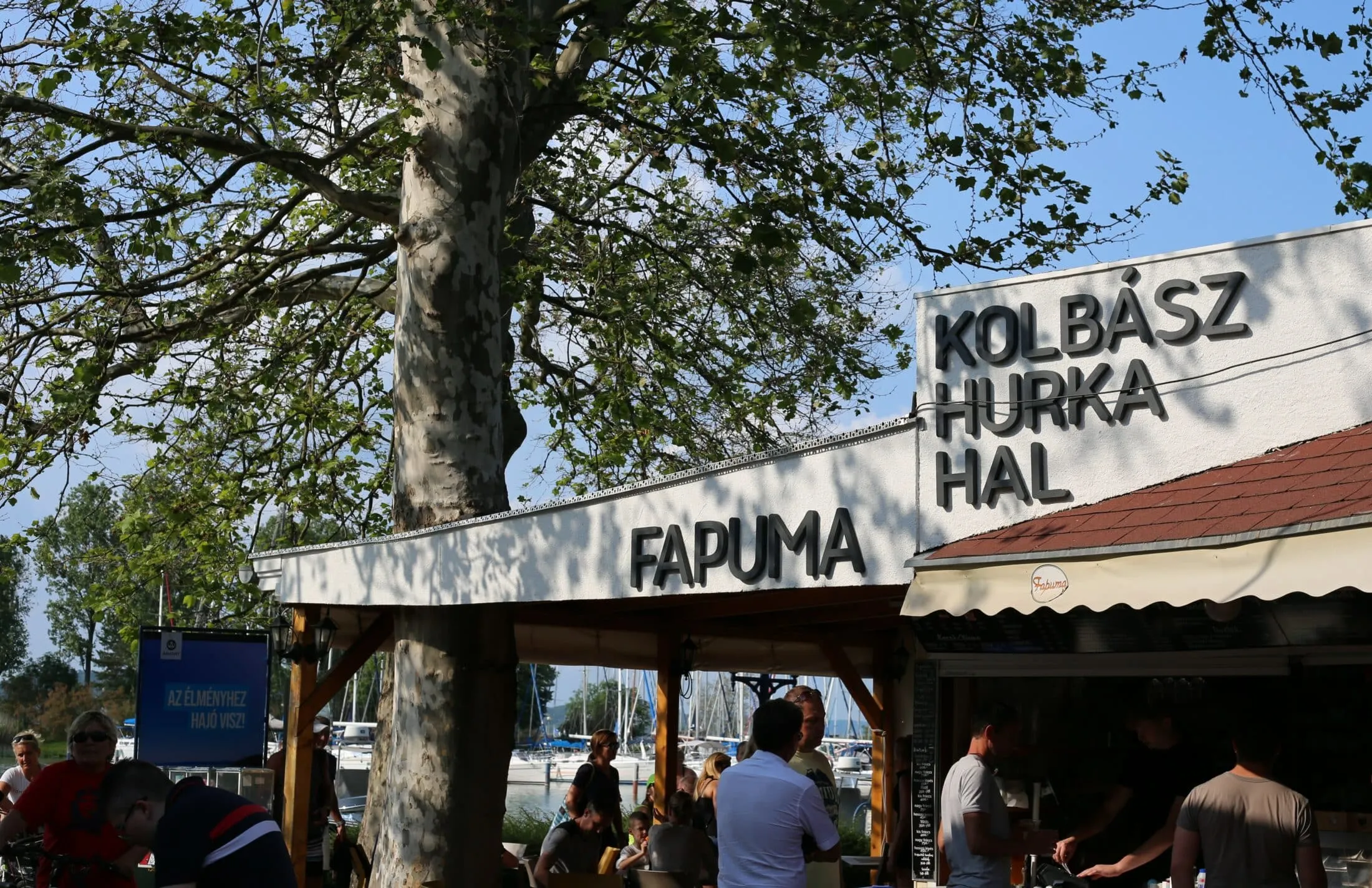balaton-langos-balatonfoldvar-fapuma-bufe