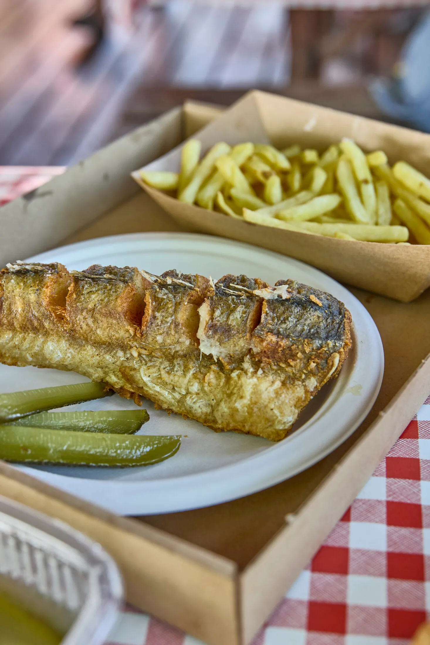 balatonlelle-langos-szirom-kozi-szabadstrand (2)