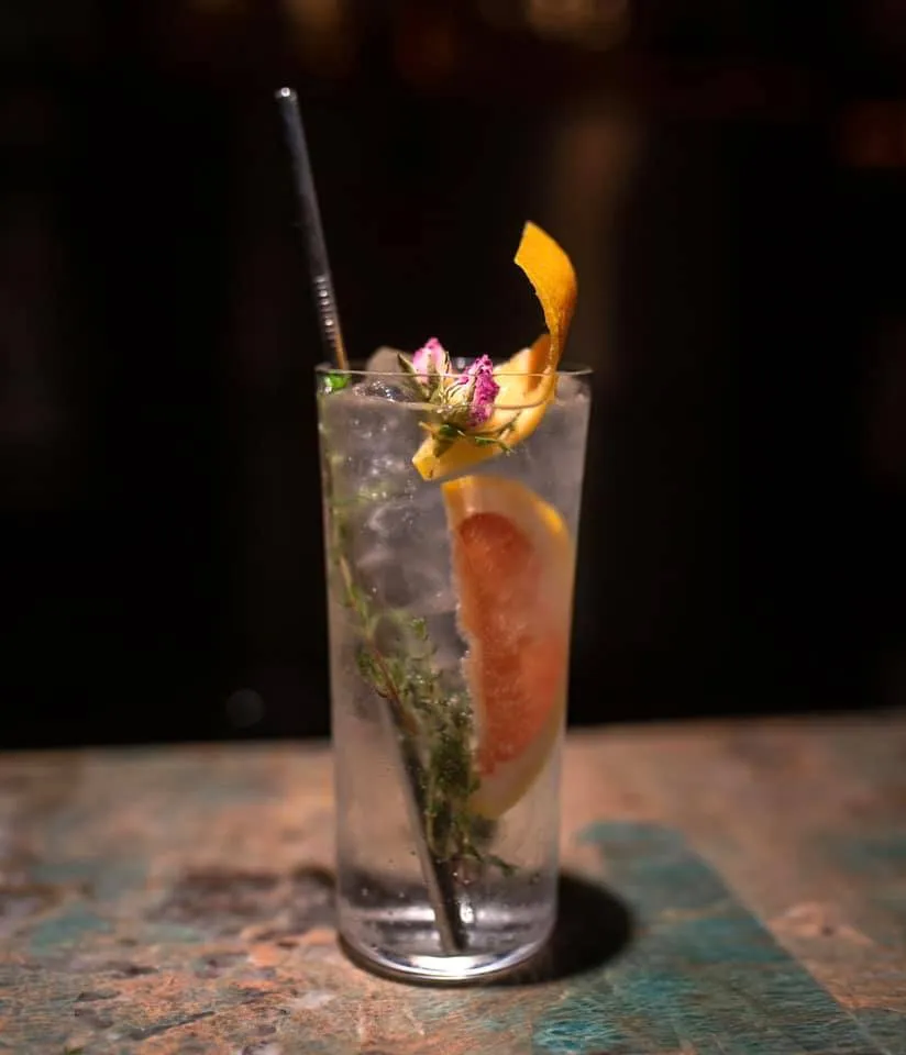gin-tonik