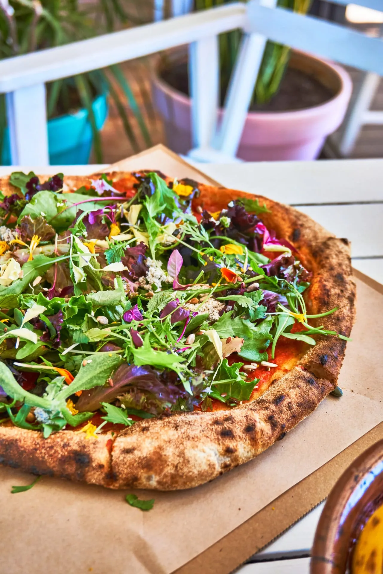 Blitz Pizza Portugália 