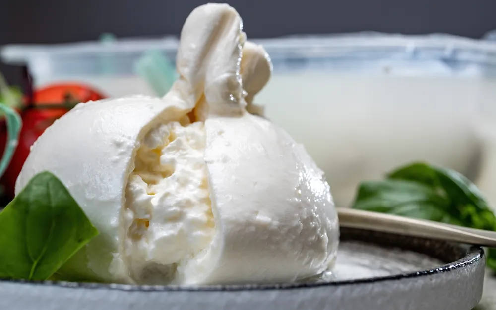 mozzarella-fajtak