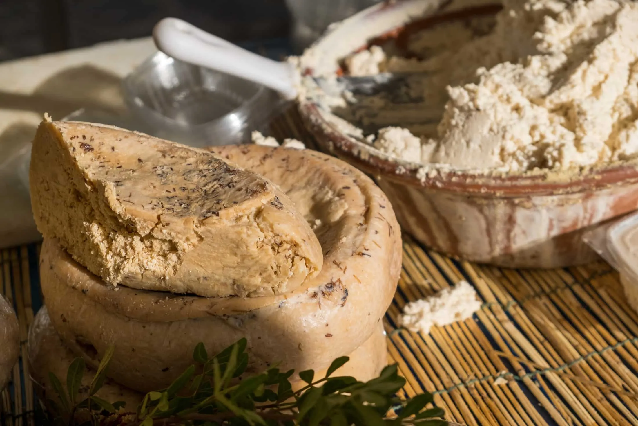 casu-marzu-sajt