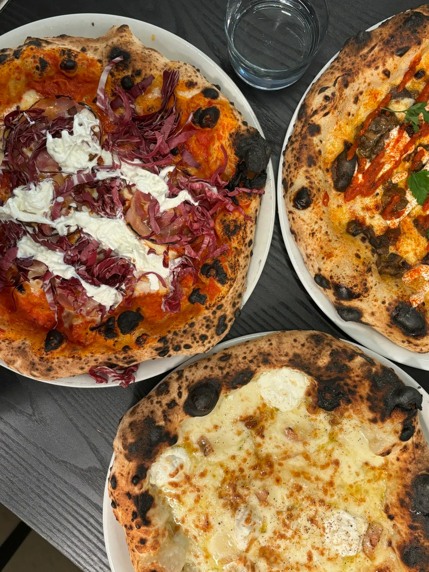 circo-pizza