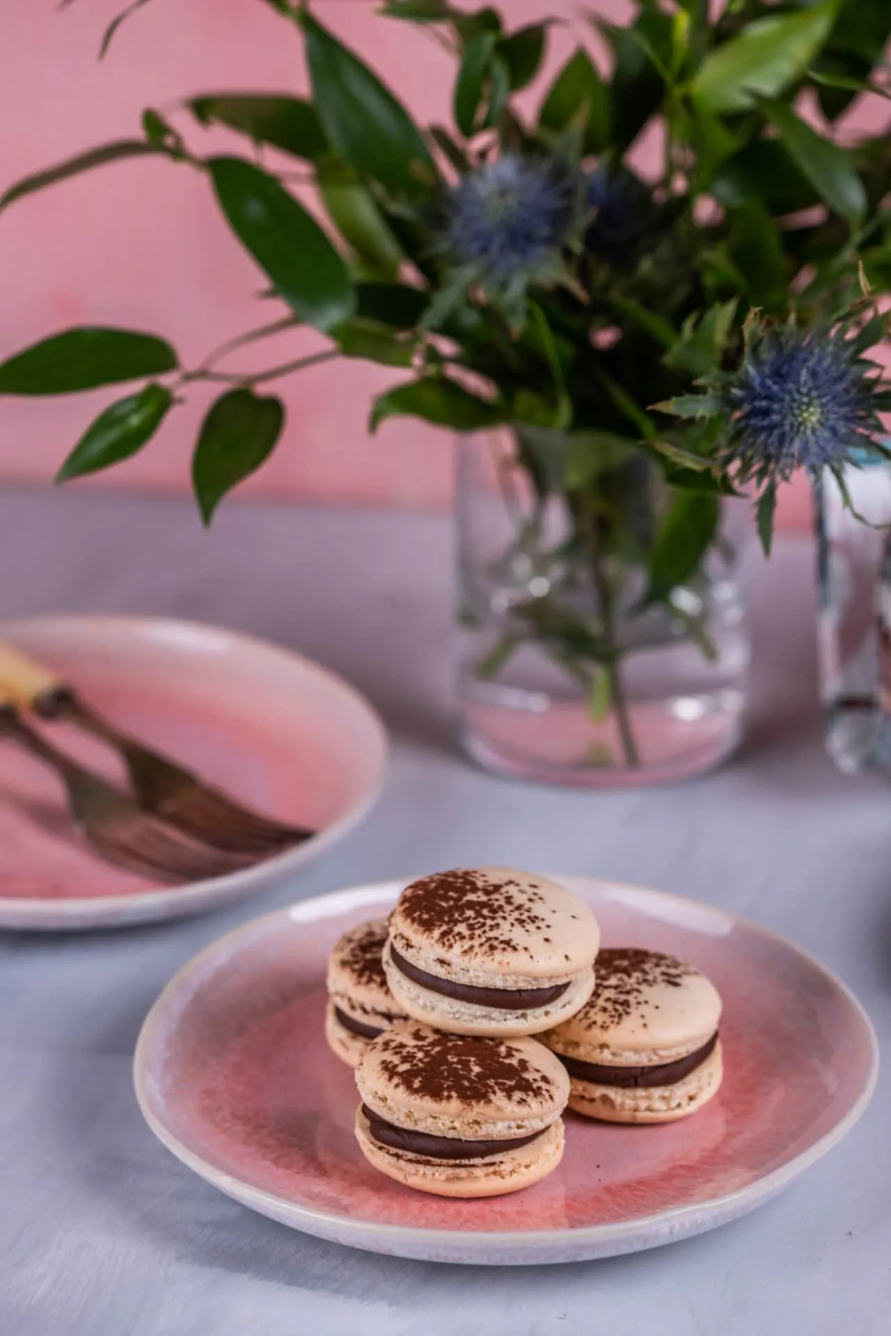 csokis-málnás macaron - francia sütik
