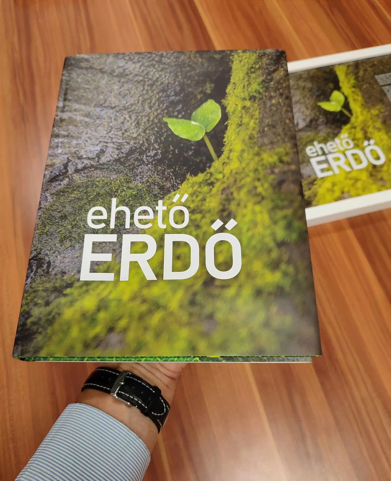 ehető erdő könyv 2