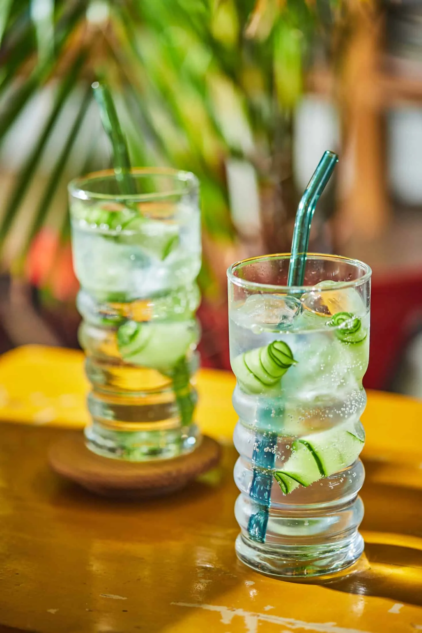 gin-tonic