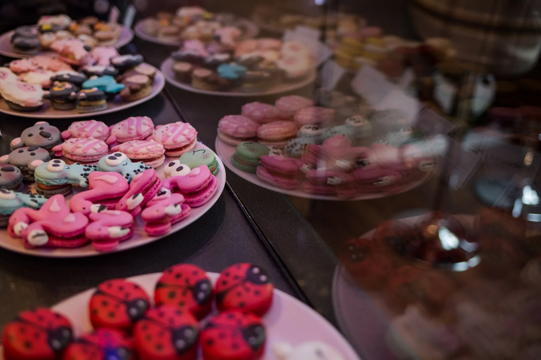 Macaron Heaven