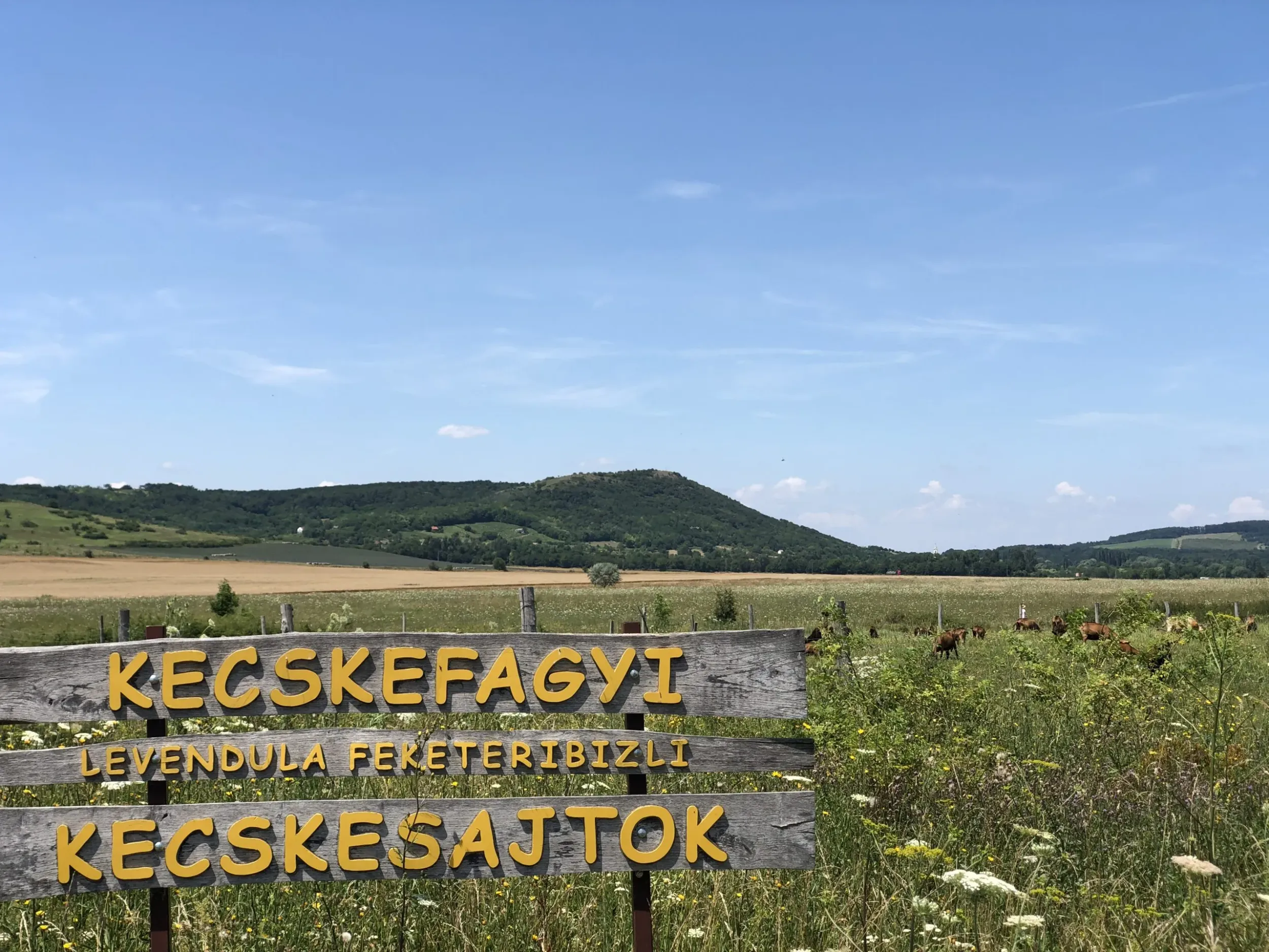kecskefarm