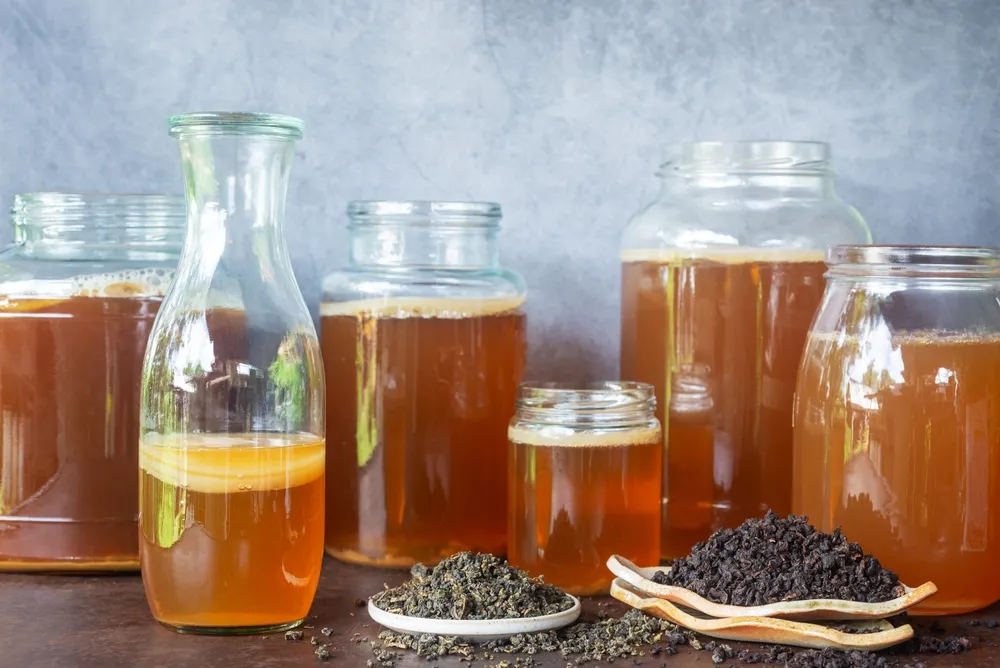 kombucha-tea-uveg