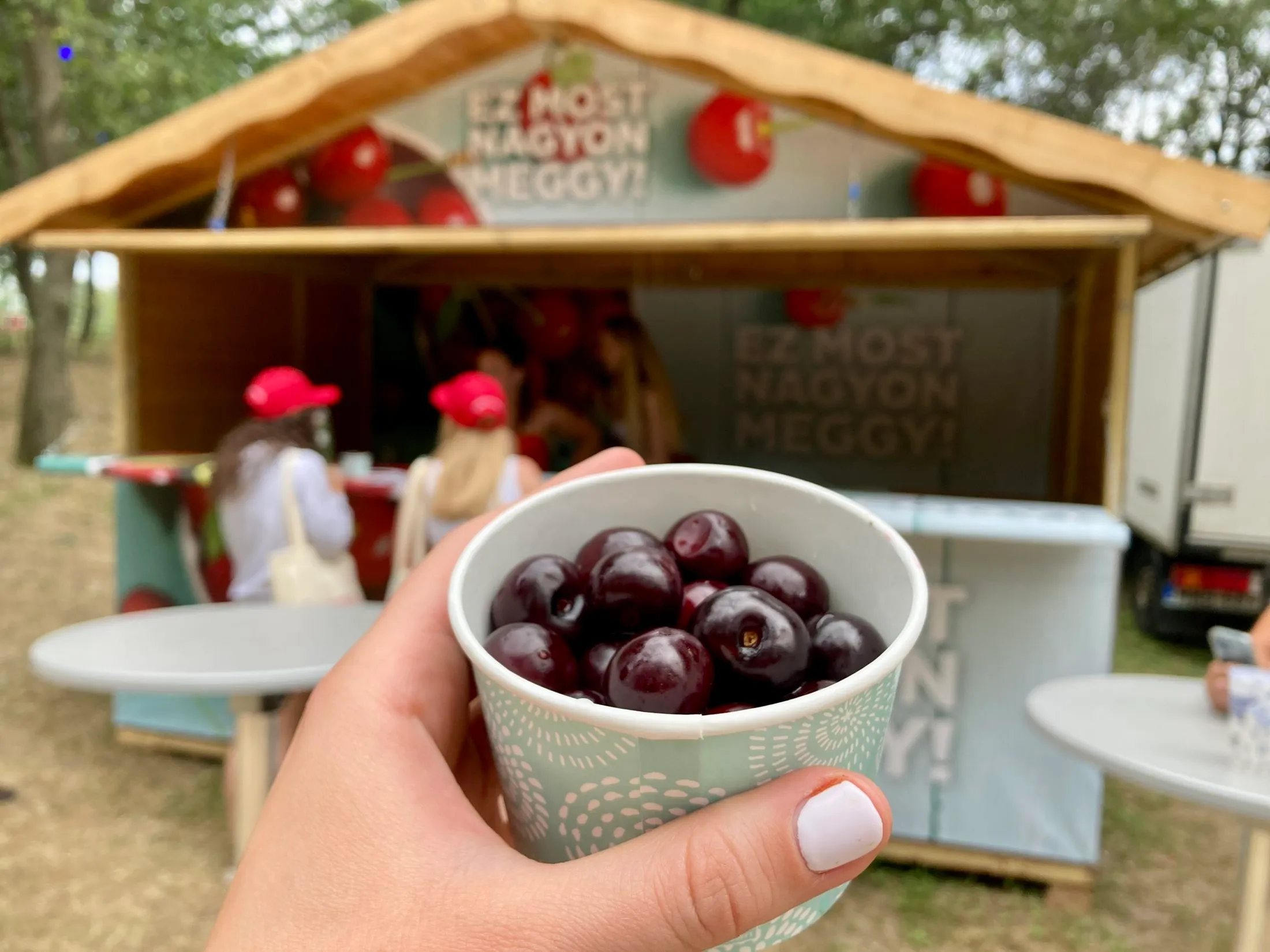 meggy-volt-fesztival