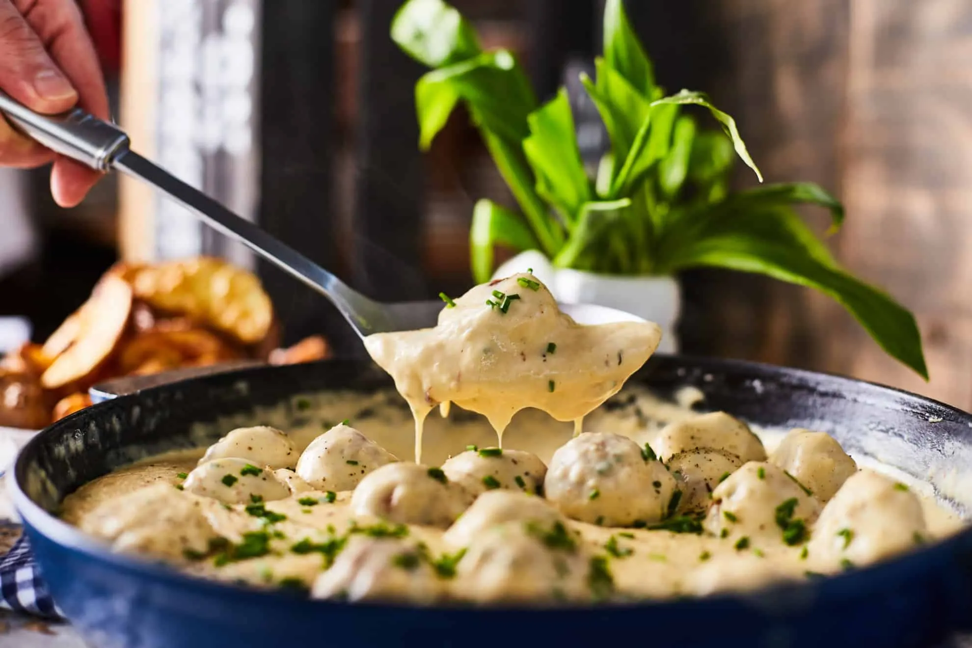 Medvehagymás húsgolyók cheddar sajtszószban