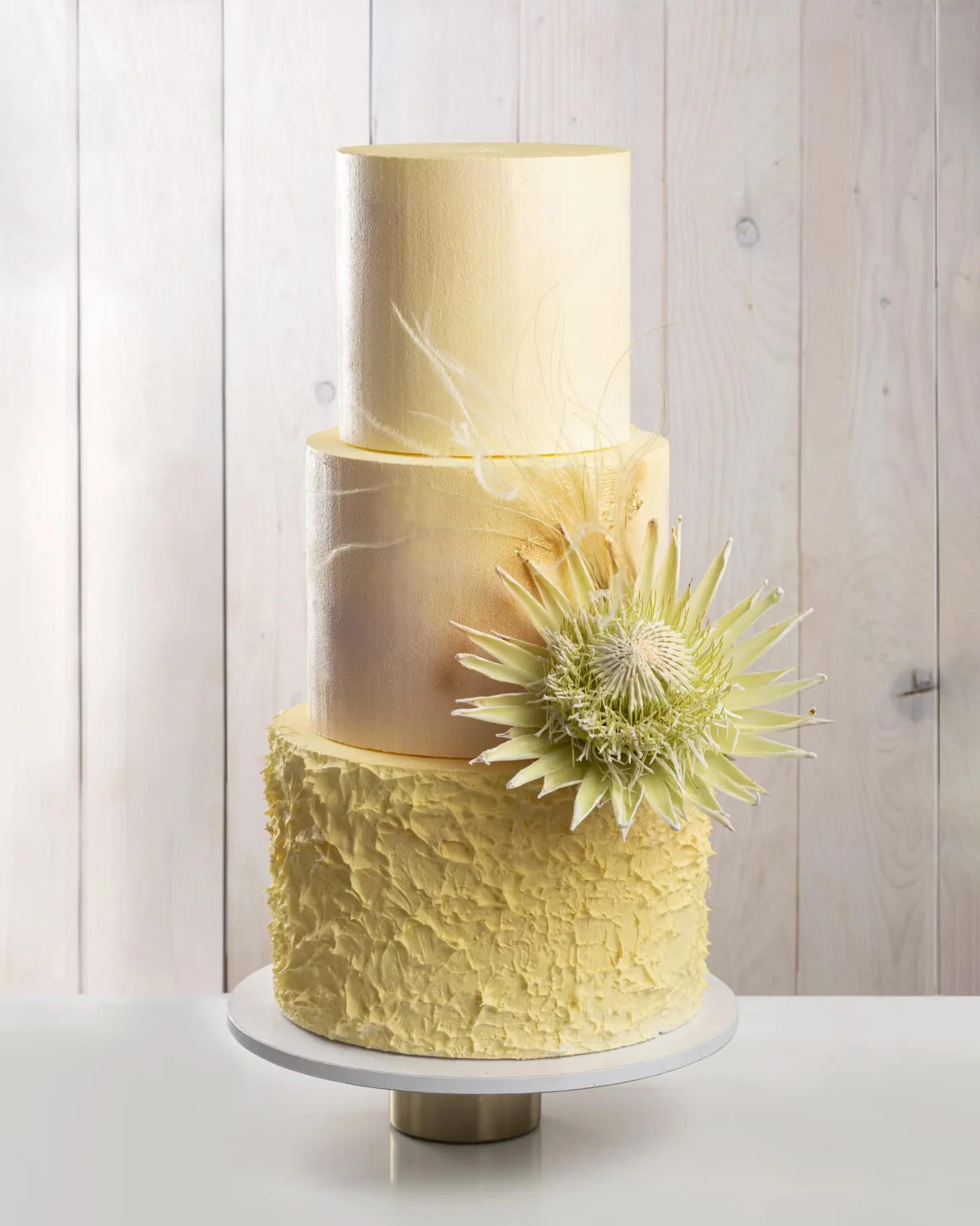 mon-petit-torta