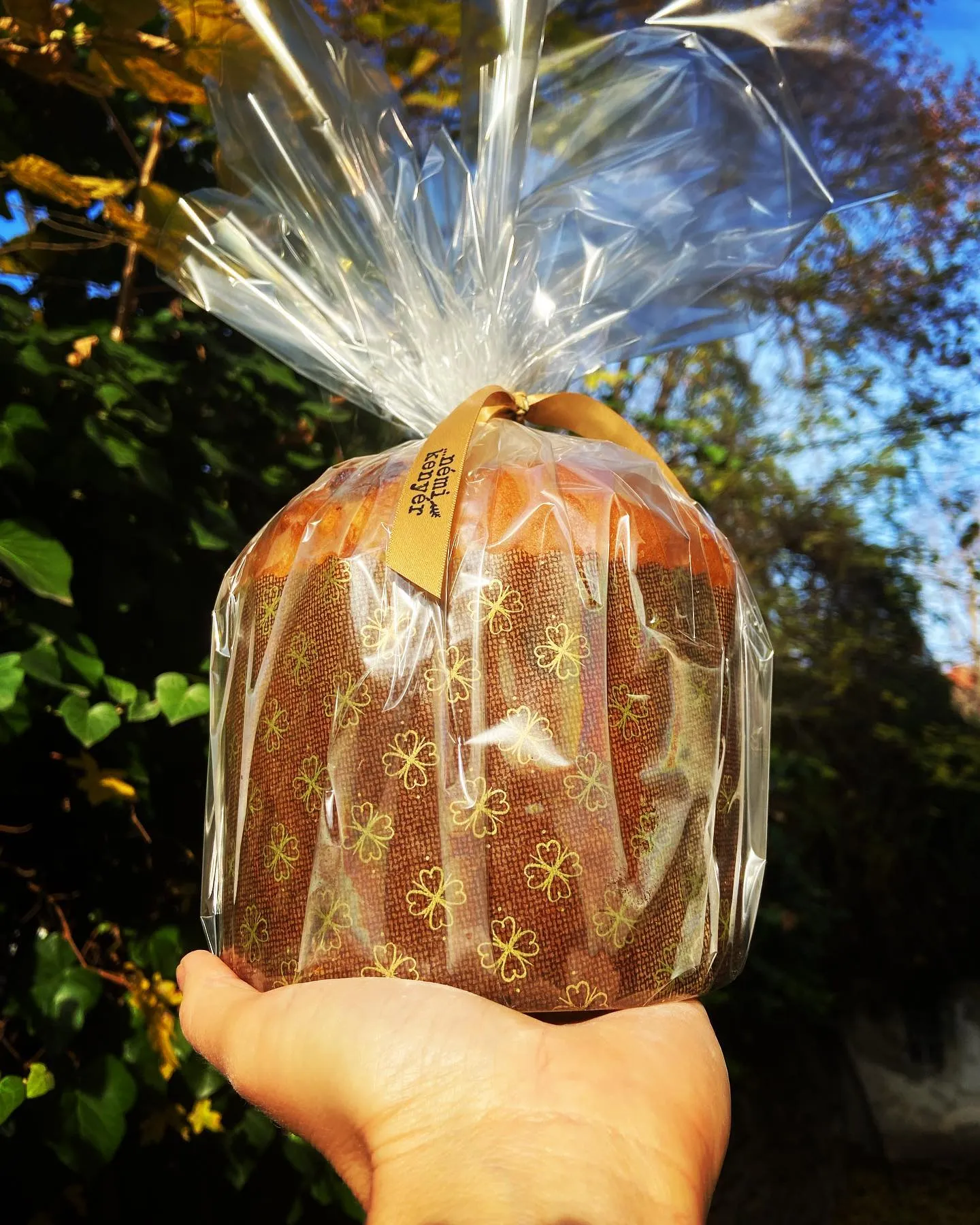 nemi-kenyer-panettone-rendeles-1