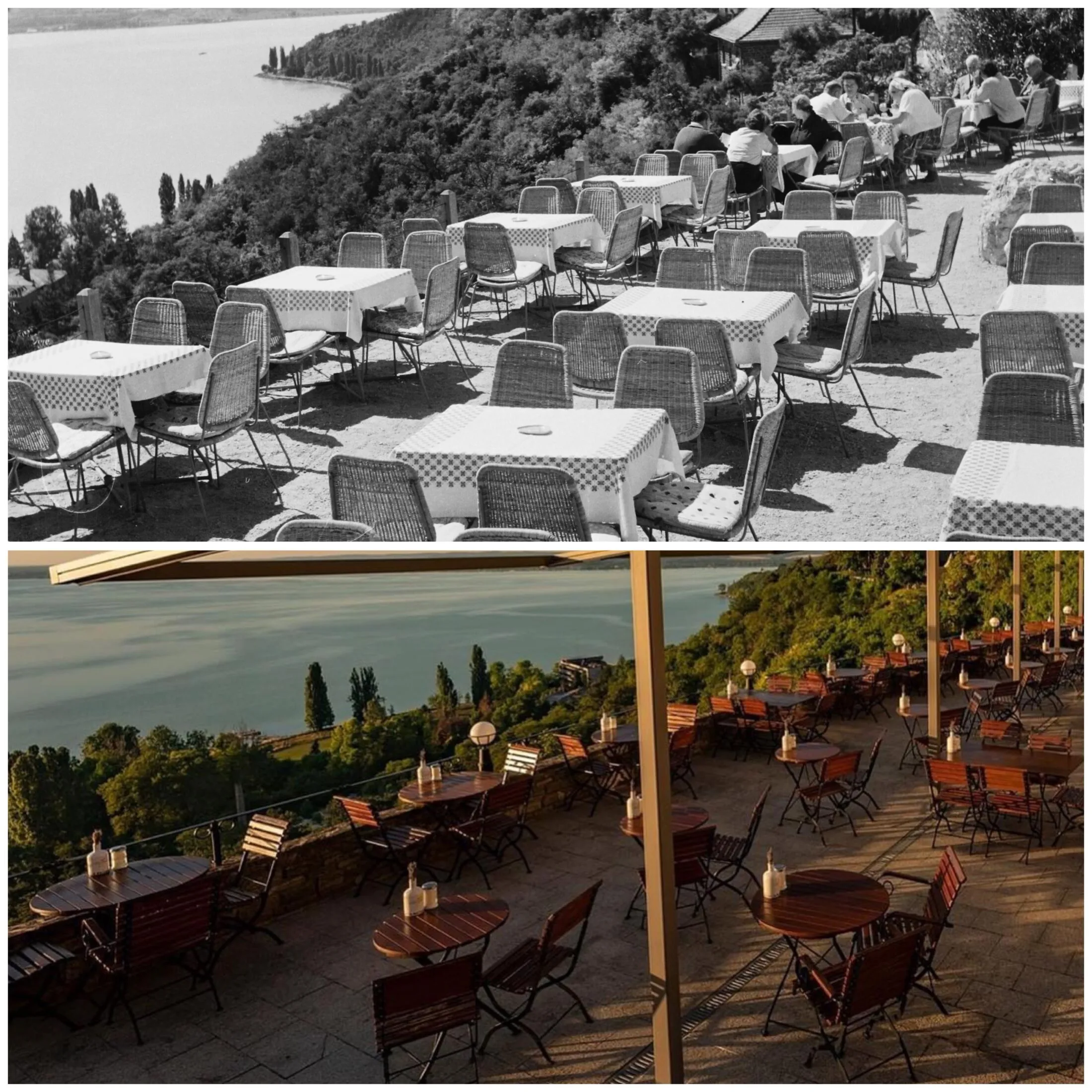 rege-tihany
