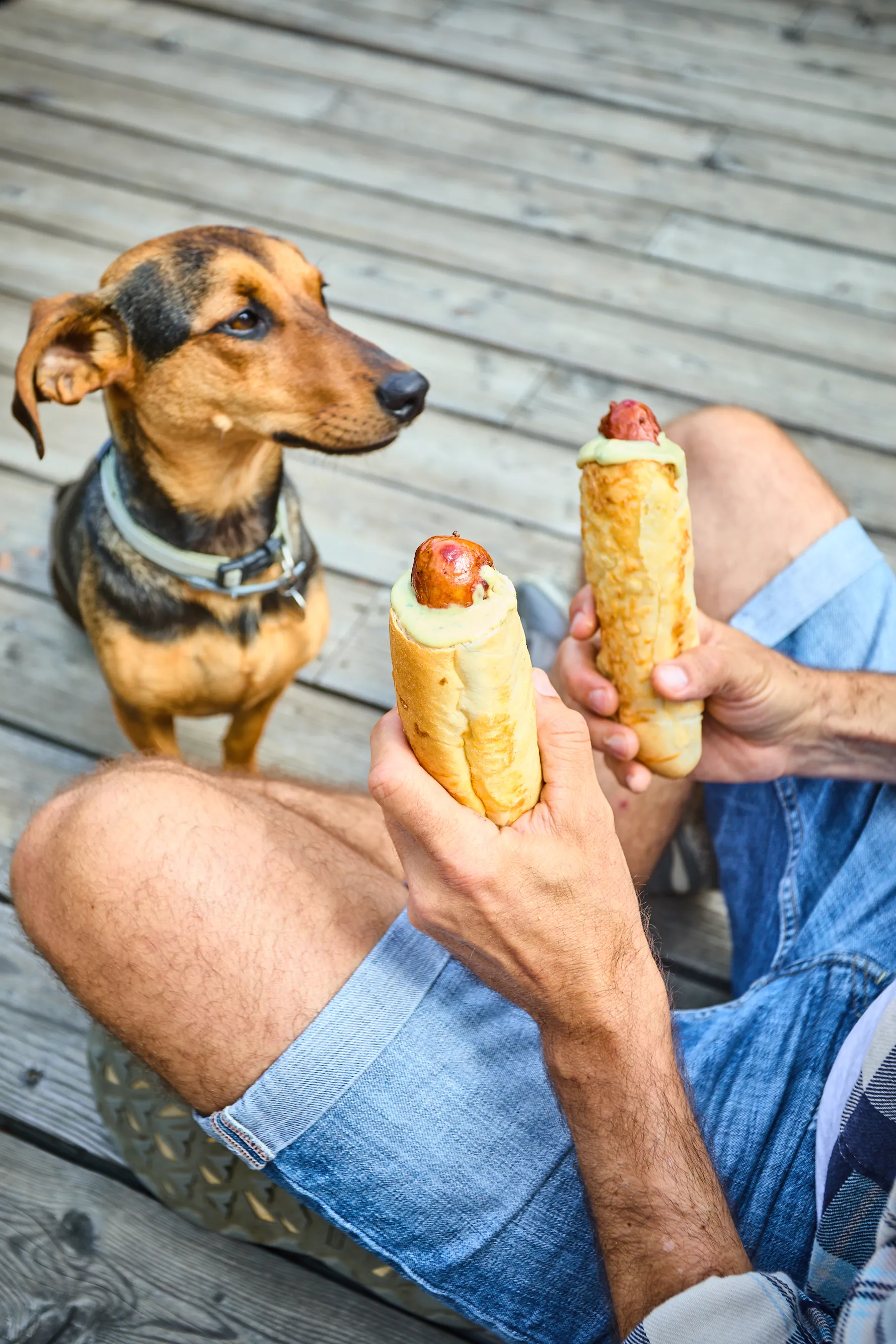 Retró hot dog tárkonyos-mustáros szósszal