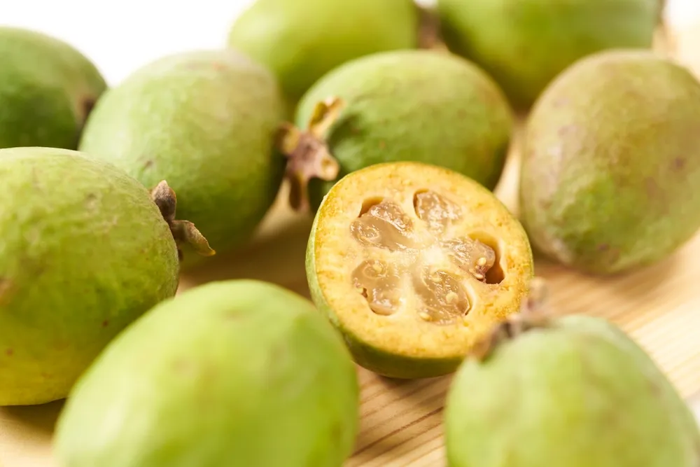 shutterstock_2399354989
