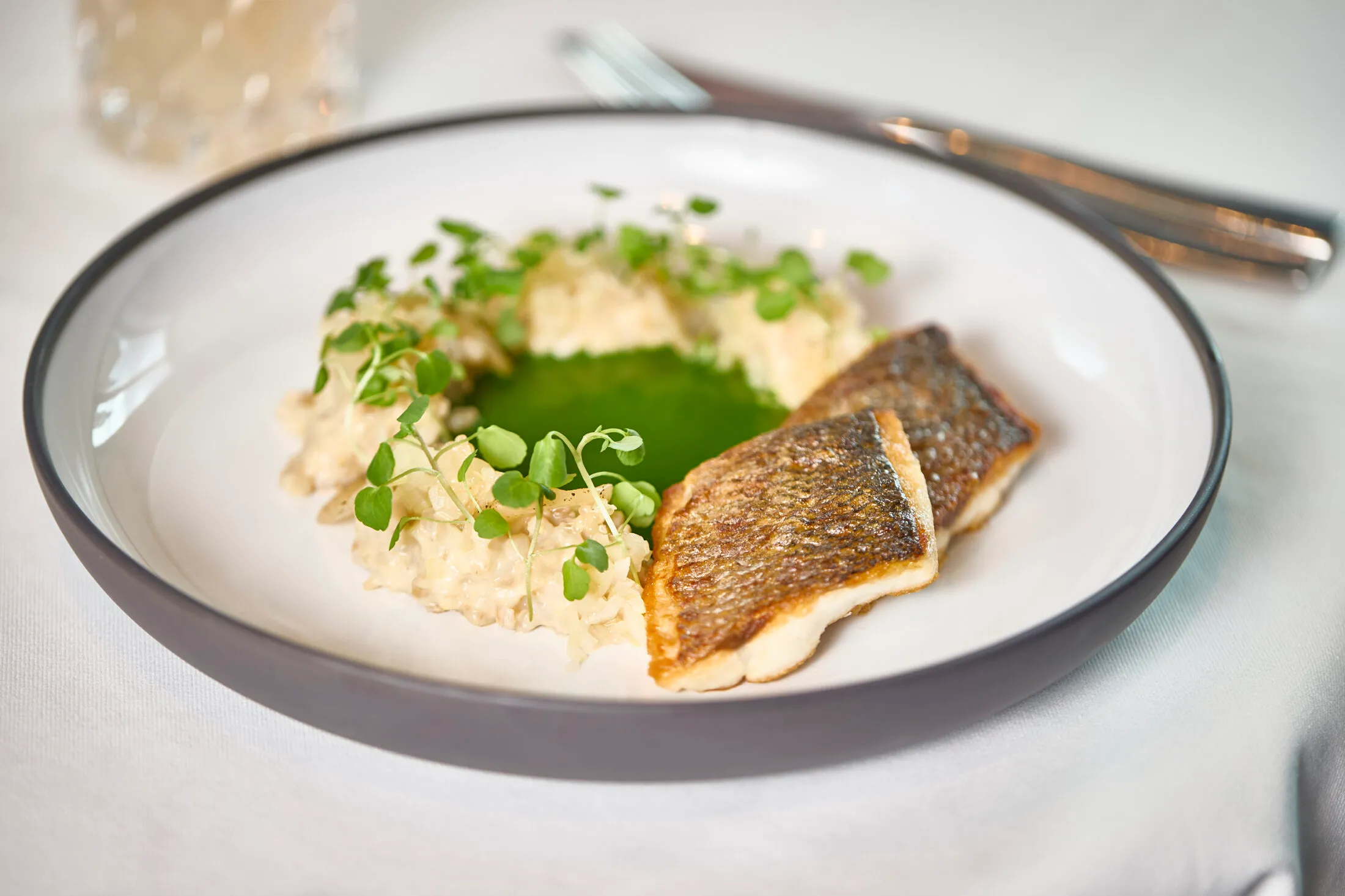 Spago 39