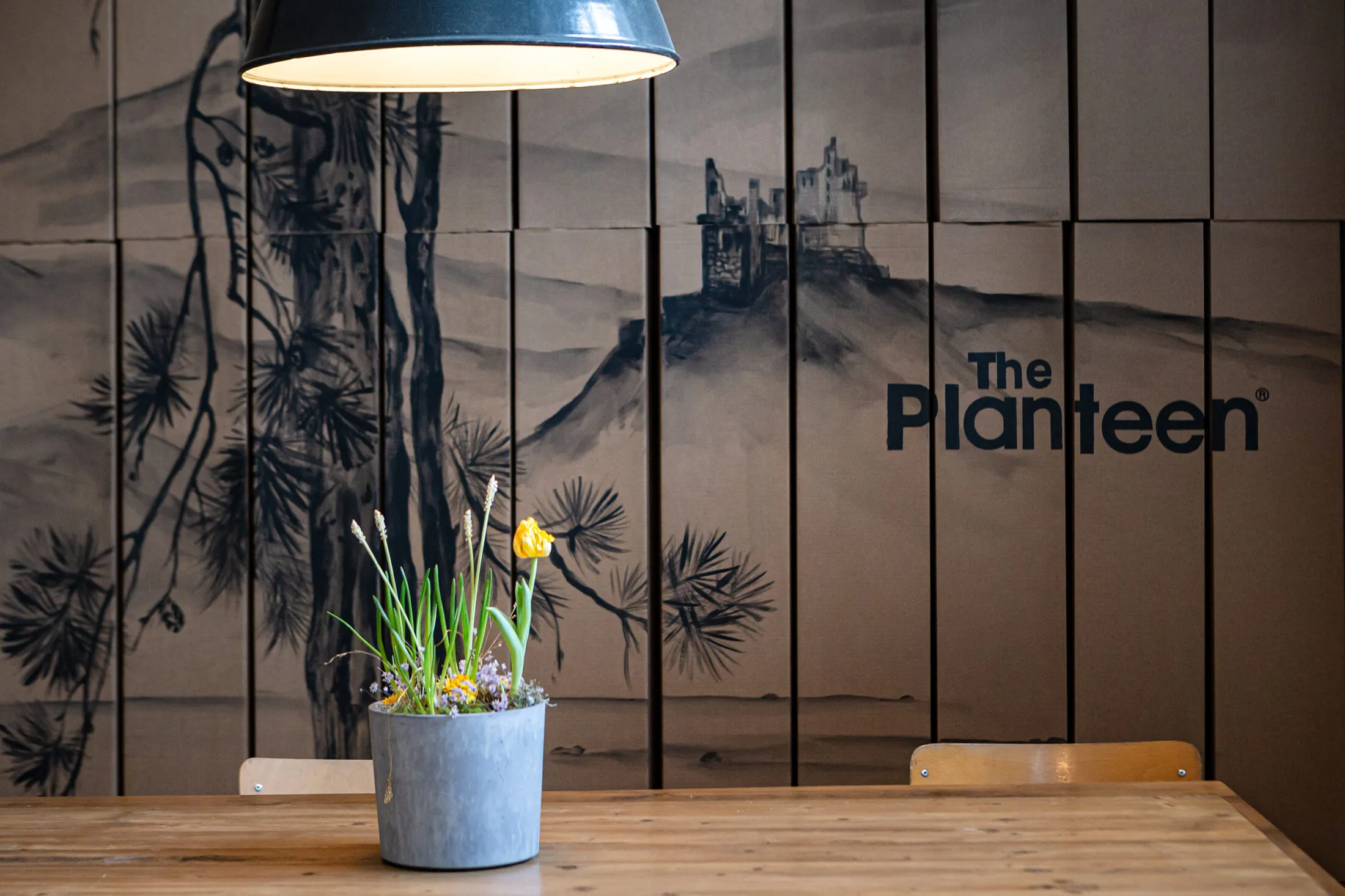 the-planteen