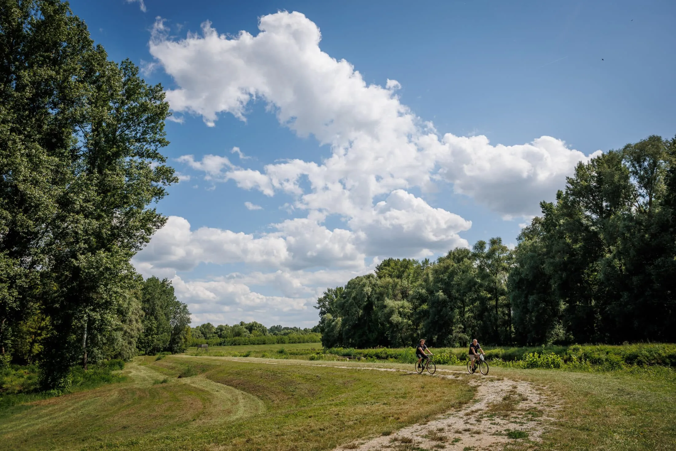 tisza tó biciklisek