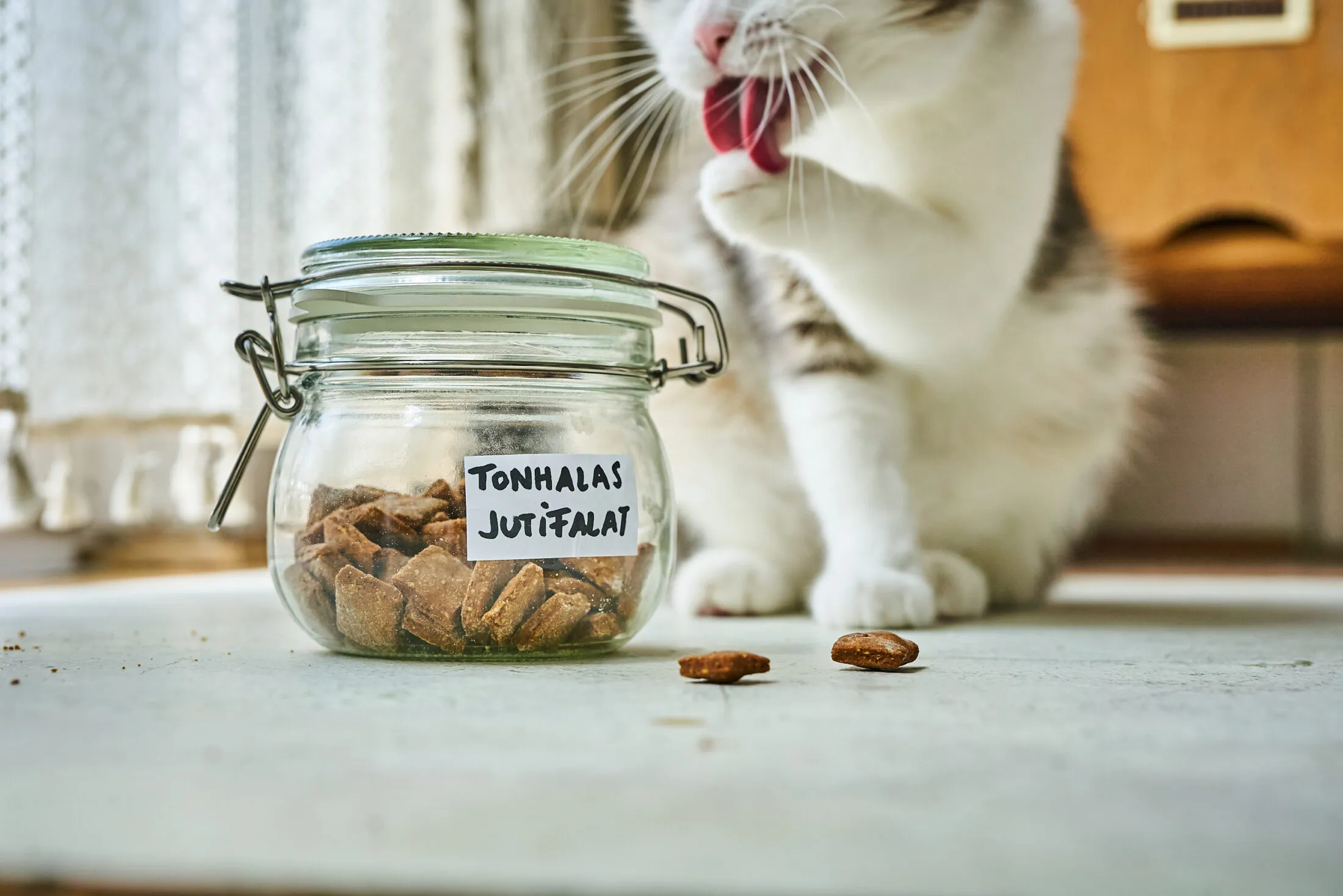 tonhalas-jutalomfalat