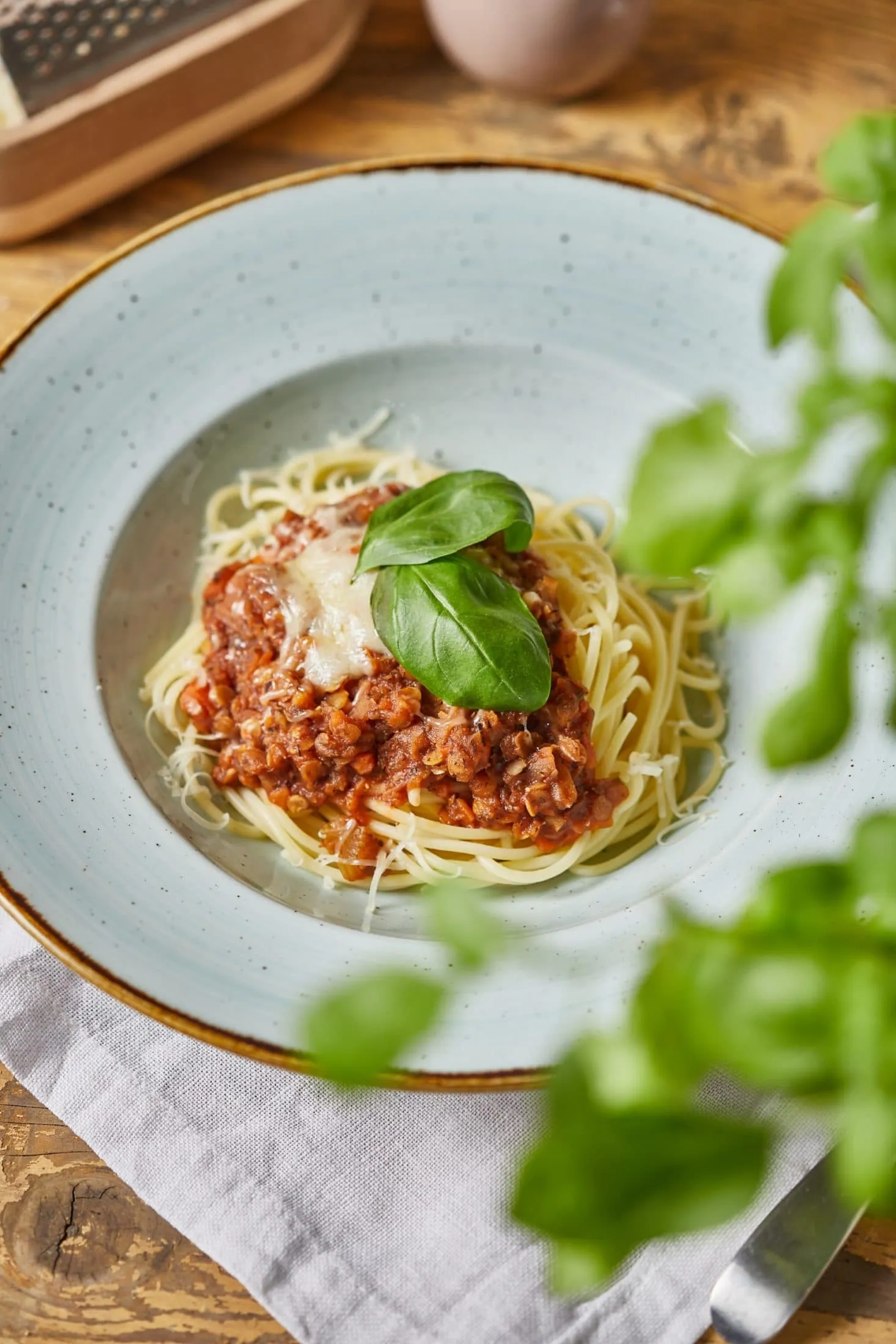 Vega bolognai vöröslencséből