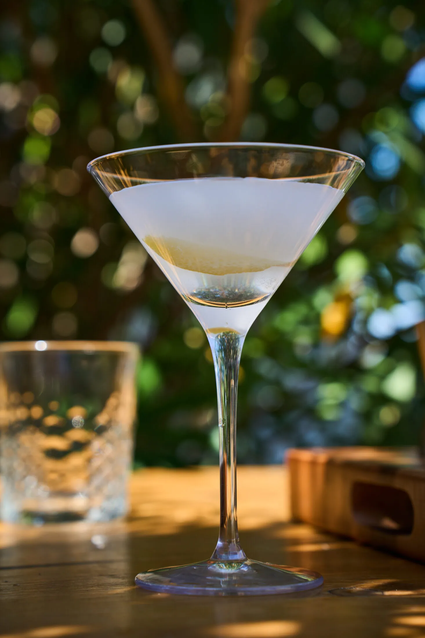 vesper-martini-2